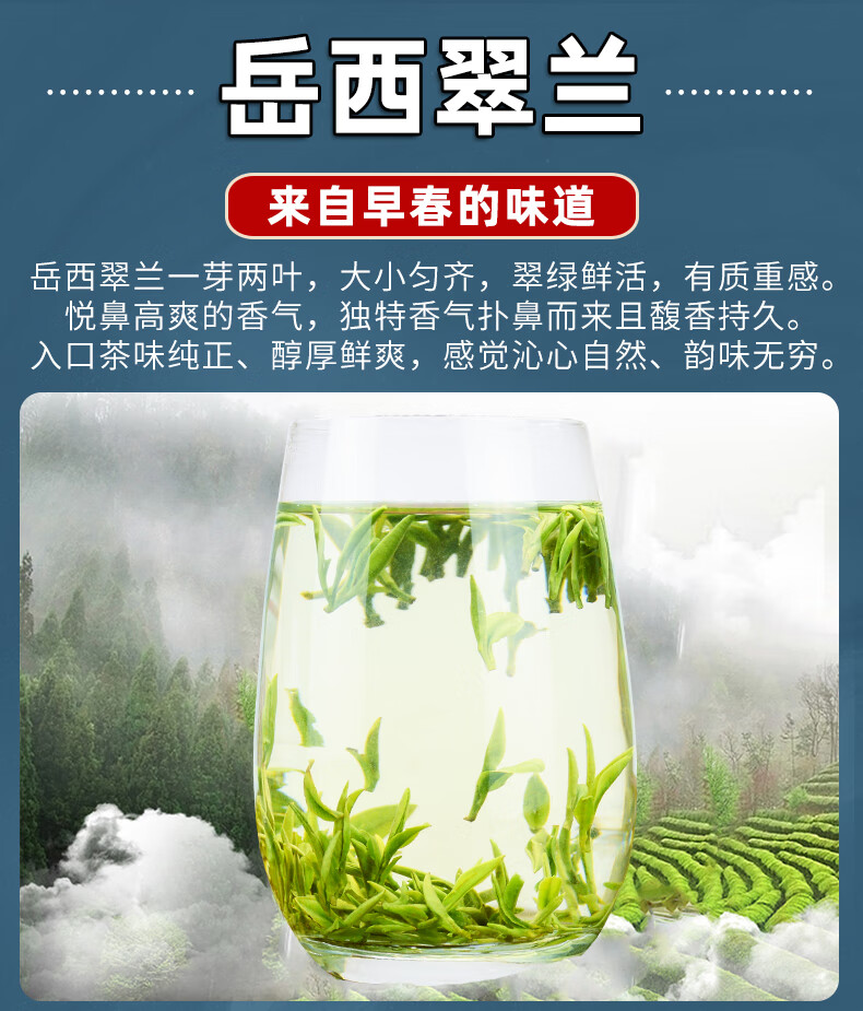 国宾茶4罐岳西翠兰国宾礼茶2021新茶明前特级绿茶安徽茶叶500g备