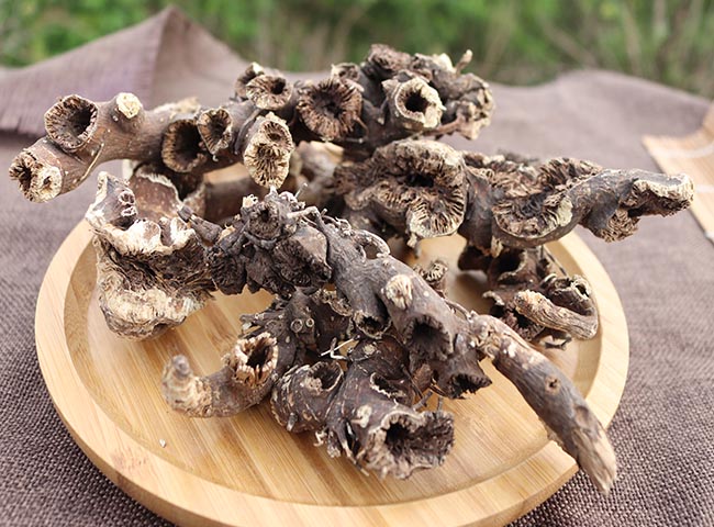 东北升麻野生窟窿芽根苦老芽根升麻粉无硫鬼脸升麻500g中药材【图片