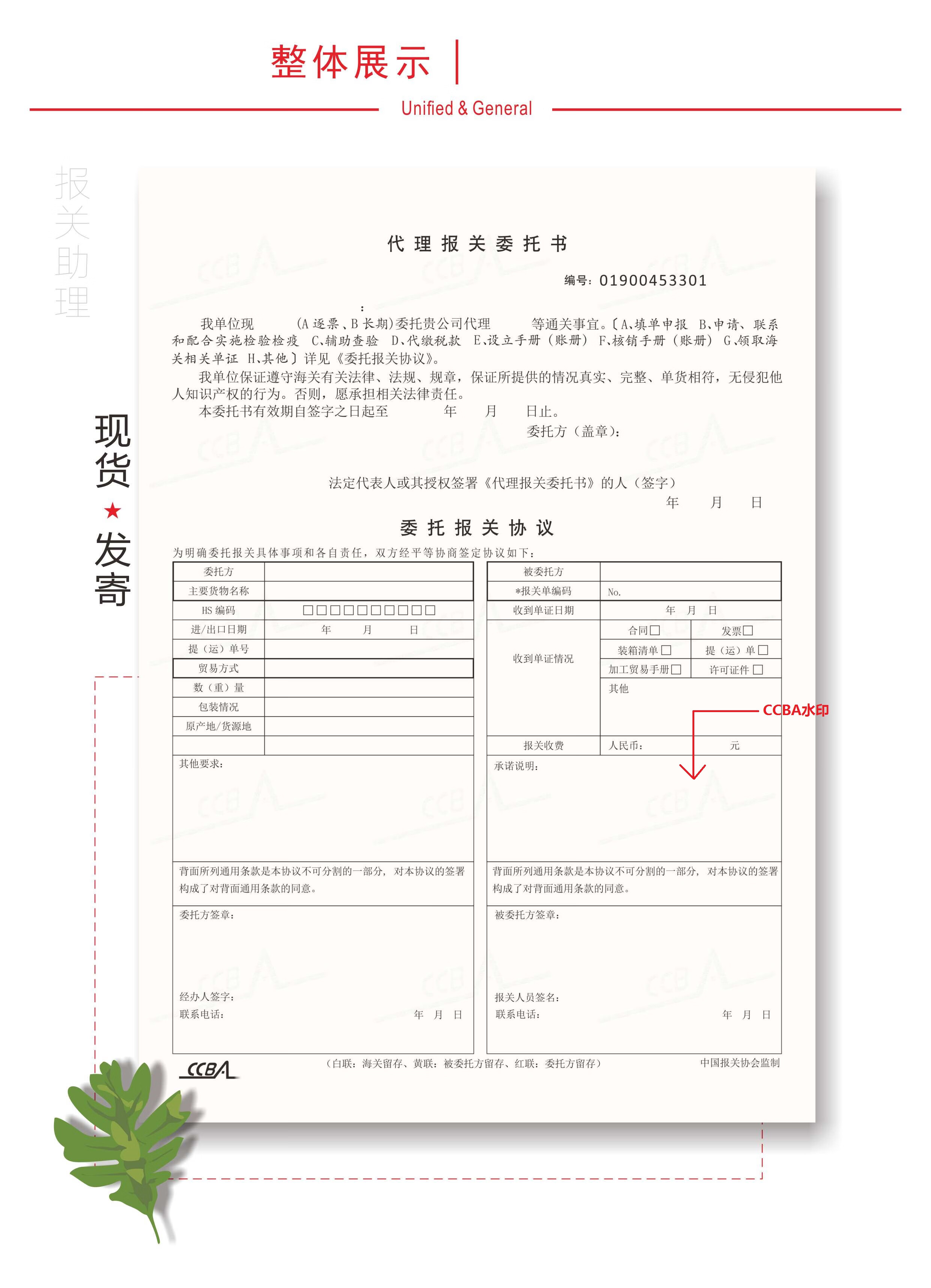 新版代理报关委托书 一式三联无碳纸 十位hs编码 通用 5本【图片 价格