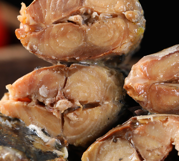 10罐不加盐水煮鲭鱼罐头即食青花鱼海鲜罐头200g10罐出口不加盐鲭鱼10