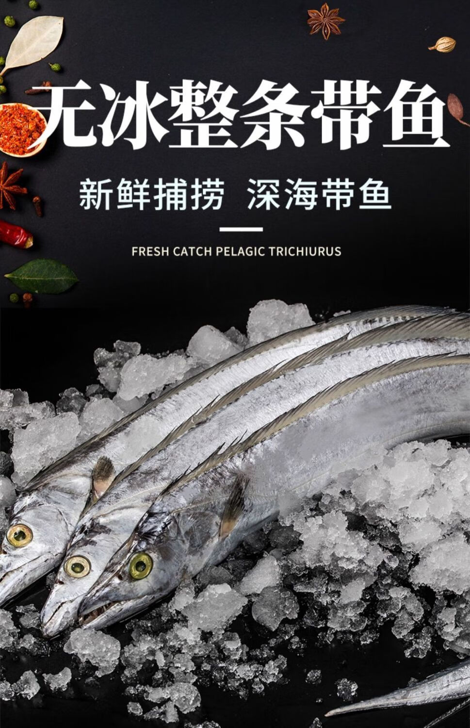带鱼整条带鱼海捕带鱼带鱼新鲜海鲜东海带鱼小眼刀鱼一斤约两条装买三