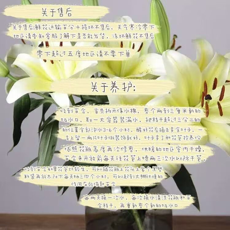 风骏鲜花香水百合 a级多头金砖百合 5支(18-20花苞)【图片 价格 品牌