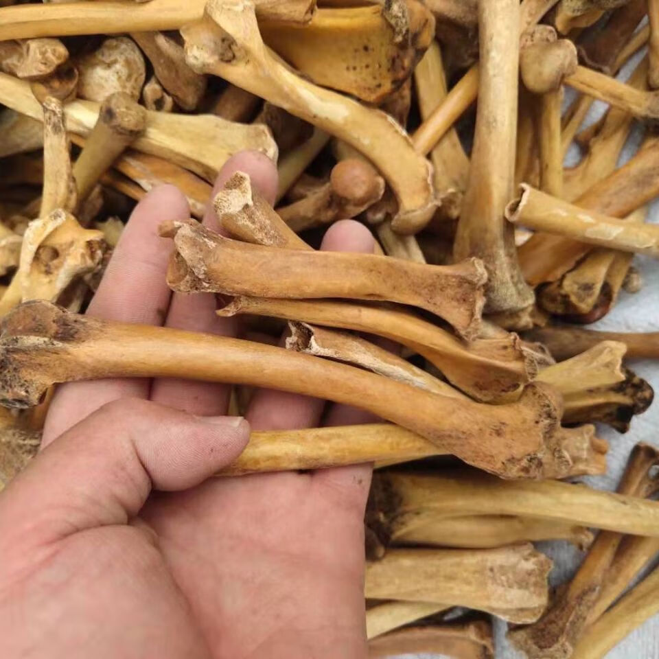 同仁堂有仁堂中药材狗骨头粉煅狗骨头炒制狗骨头粉药用犬骨粉北京内廷