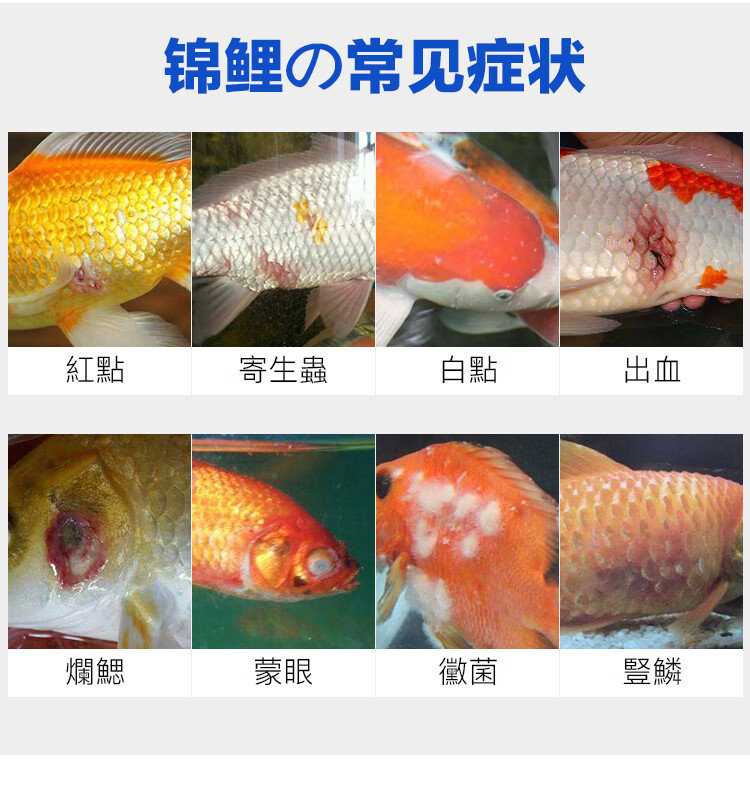 水族金魚殺菌疾病治療魚爛尾爛鰭觀賞魚錦鯉魚白點 收藏 購物車【優先