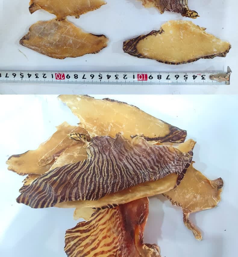 阳江淡晒油螺片螺肉干海产干货煲粥煲汤食材椰子螺干厚片油螺片500克