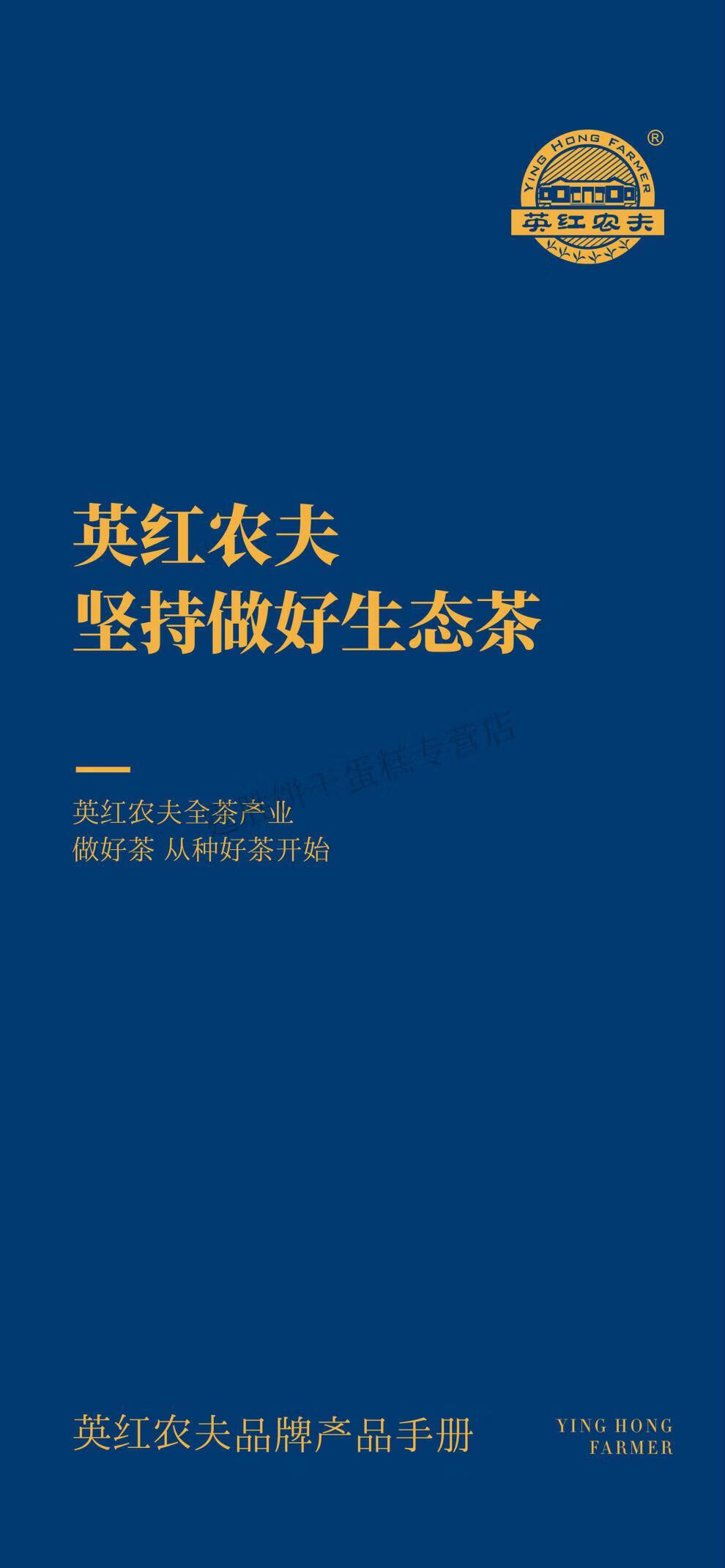 粤字号茶叶厂家红茶 春茶散茶 广东特产英红九号红茶 老英九125克