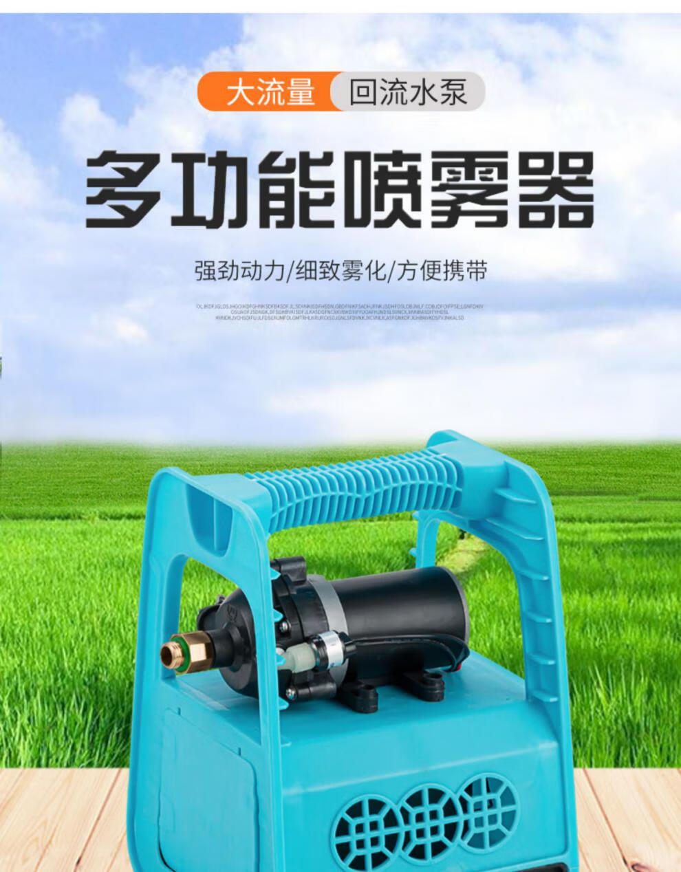 12v双泵电动喷雾器水泵农用锂电池小型打药机家用机打农药喷洒器三泵