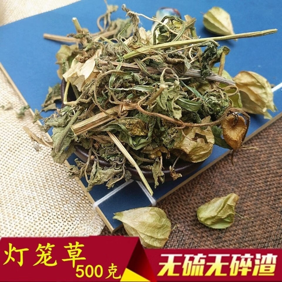 灯笼草 打卜草 打额泡 天泡草 黄灯笼黄姑娘王母珠 灯笼草500克【图片