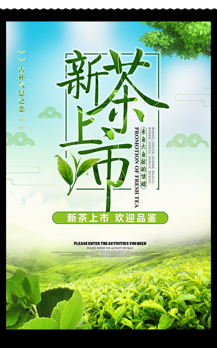 茶叶广告贴纸新茶上市茶叶店墙纸画春茶专卖宣传海报绿茶促销kt板