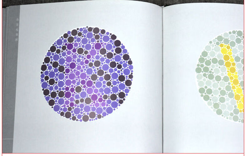 《现货 色觉检查图 第3版 第三版 王克长 王新宇 等编绘 驾照/体检