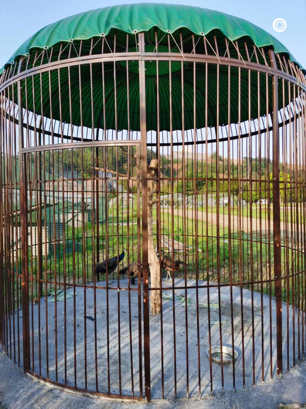 铁艺特大号加网鸟笼鹦鹉鸟笼户外大型超大巨型鸟笼装饰孔雀养鸟笼