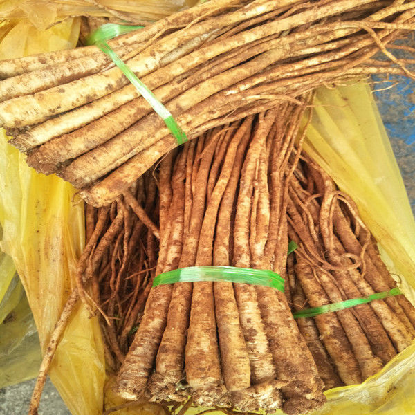 臭参云南特产新鲜云参地参蔬菜小人参臭药党参胡毛洋参细益补方1斤