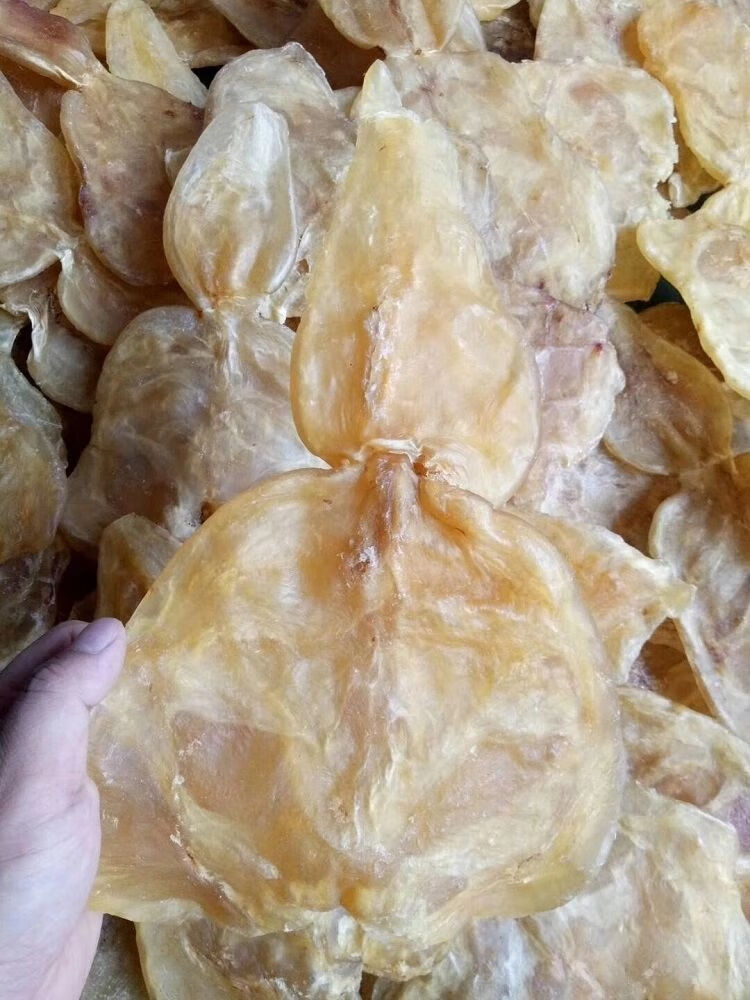 汕头南澳鱼胶葫芦花胶干货鱼鳔肉厚鱼肚鱼泡胶原蛋白 葫芦胶250克