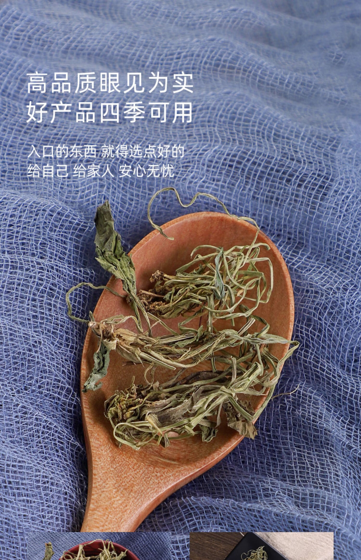 同仁堂地丁草新鲜500g紫花地丁草药新鲜干货中药材紫地丁紫花地丁500g
