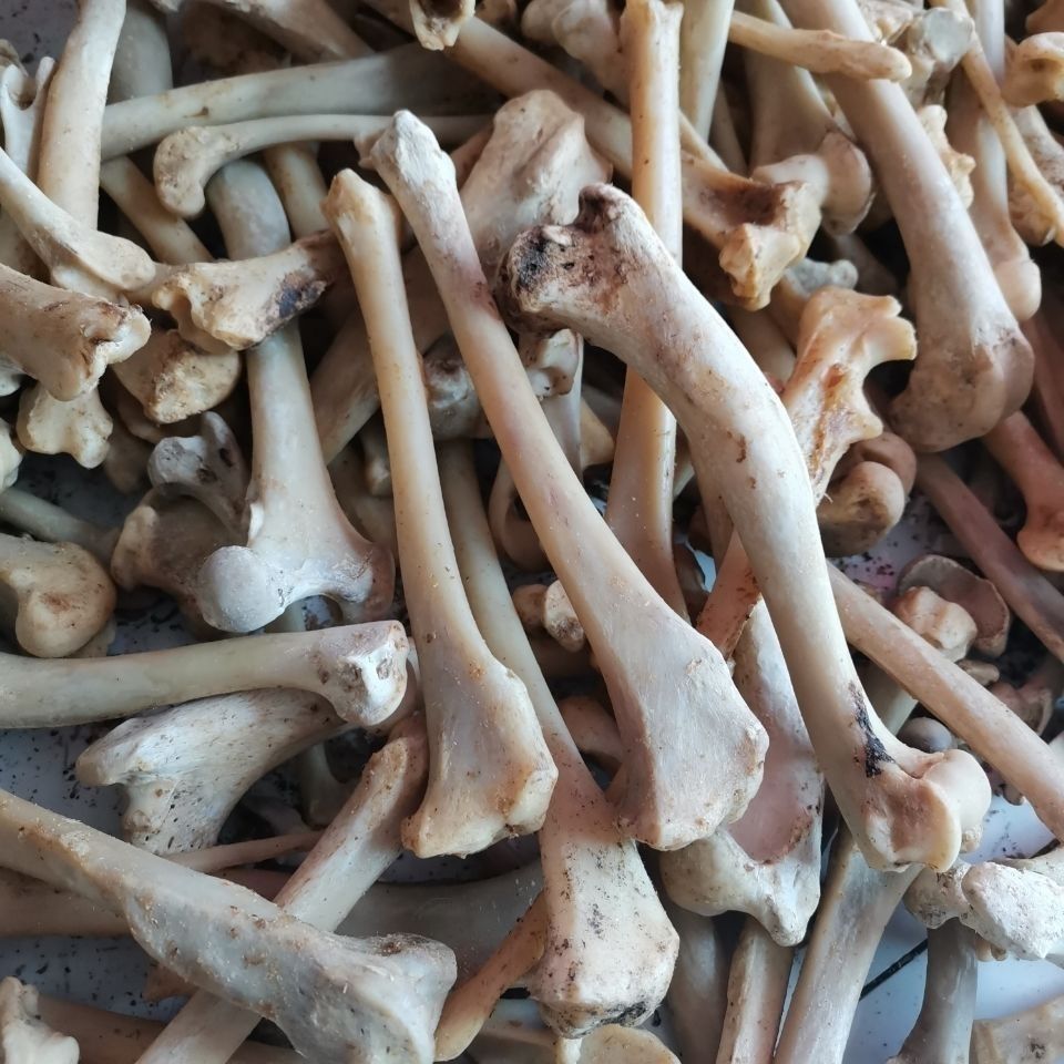 北京同仁堂原料 中药材生狗骨头 狗骨头 药用狗骨 狗骨头狗骨250克