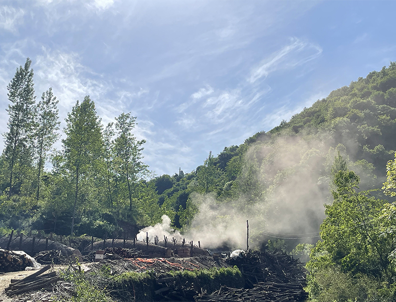 无烟果木菊花碳户外烧烤烤肉炉烧烤架铜火锅专用炭家