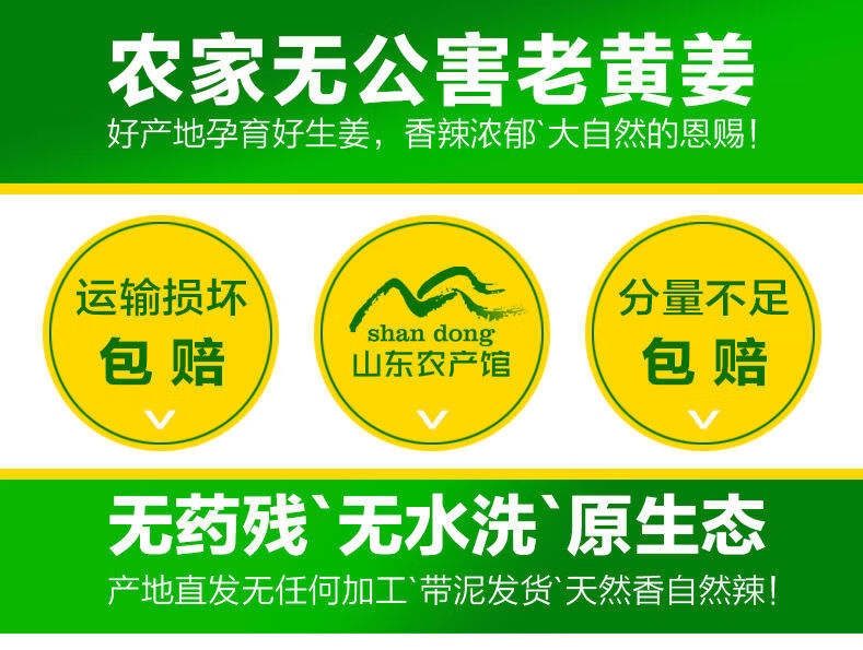 生姜老姜大黄姜山东新鲜生姜月子姜大姜生姜老姜生姜批发老姜 5斤特惠