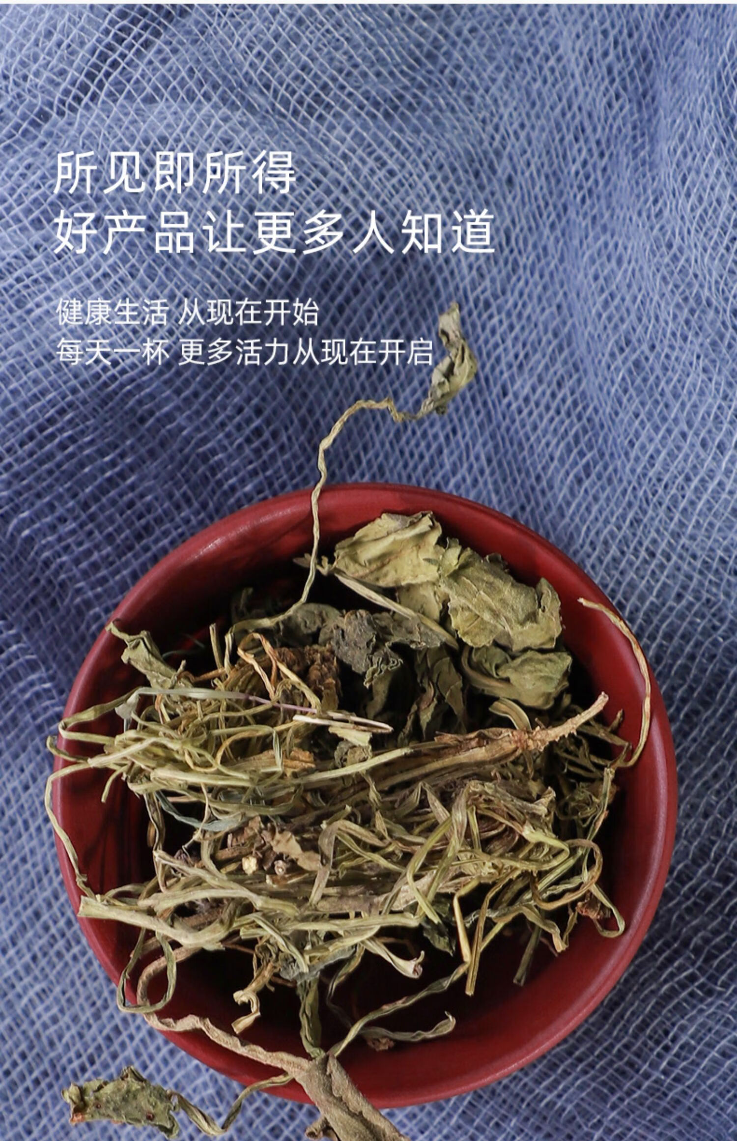 紫丁花草药功效药性图片