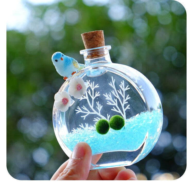 海藻球微景观球藻生态瓶水培植物室内香水瓶海洋精灵镊子小装饰
