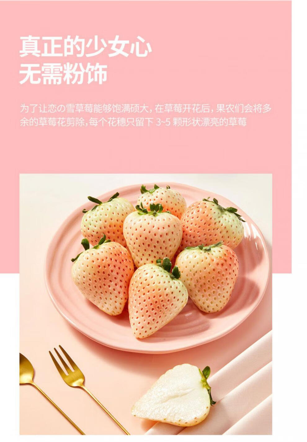 imeimax丹东淡雪草莓网红日本白雪公主粉色草莓送女朋友情人礼盒装