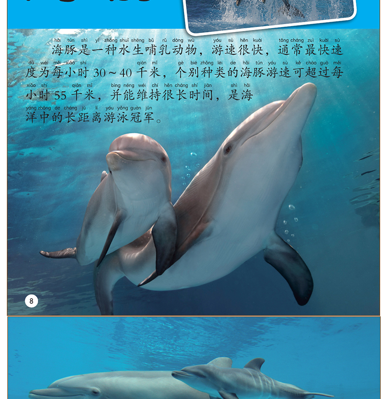 海洋动物百科大全书 大百科绘本注音科普小百科读物全套科学启蒙认知
