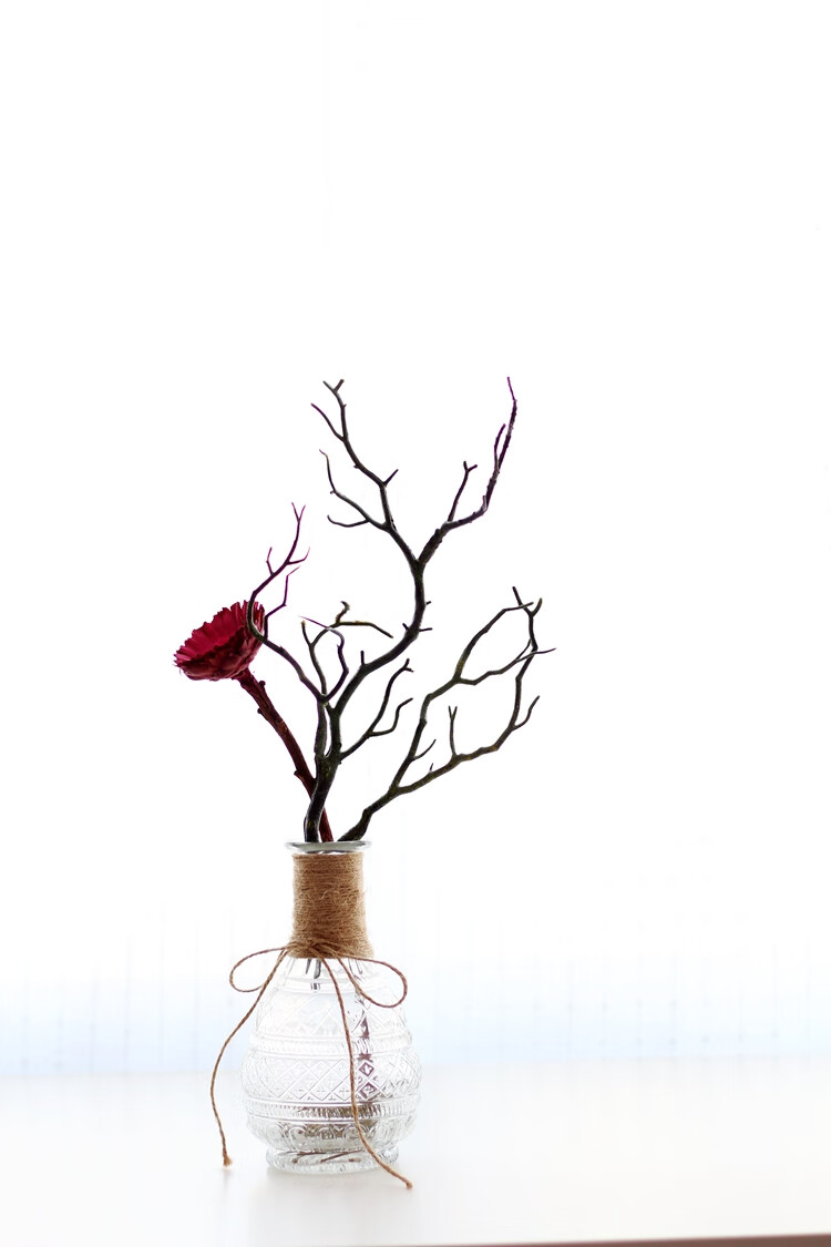 【山树】仿真枯树枝仿真树枝艺术装饰树枝树干插花摆件搭配花艺 一套