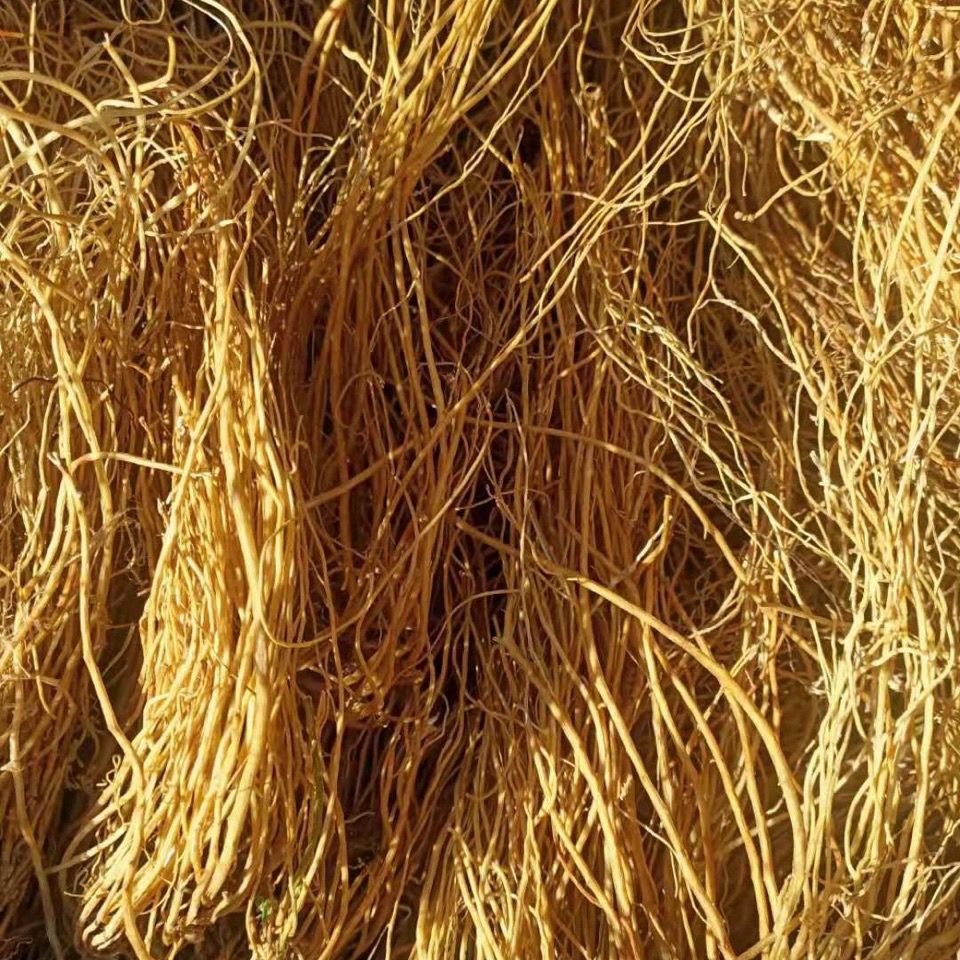 北京同仁堂原料 龙胆草中药材 整颗龙胆草 苦胆草 龙胆 自然晒干多