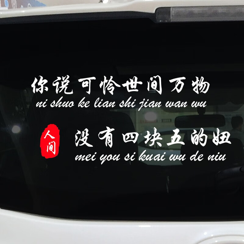 适用于汽车车身字帖 你说可怜世界万物抖音网红汽车贴纸车门后窗同款
