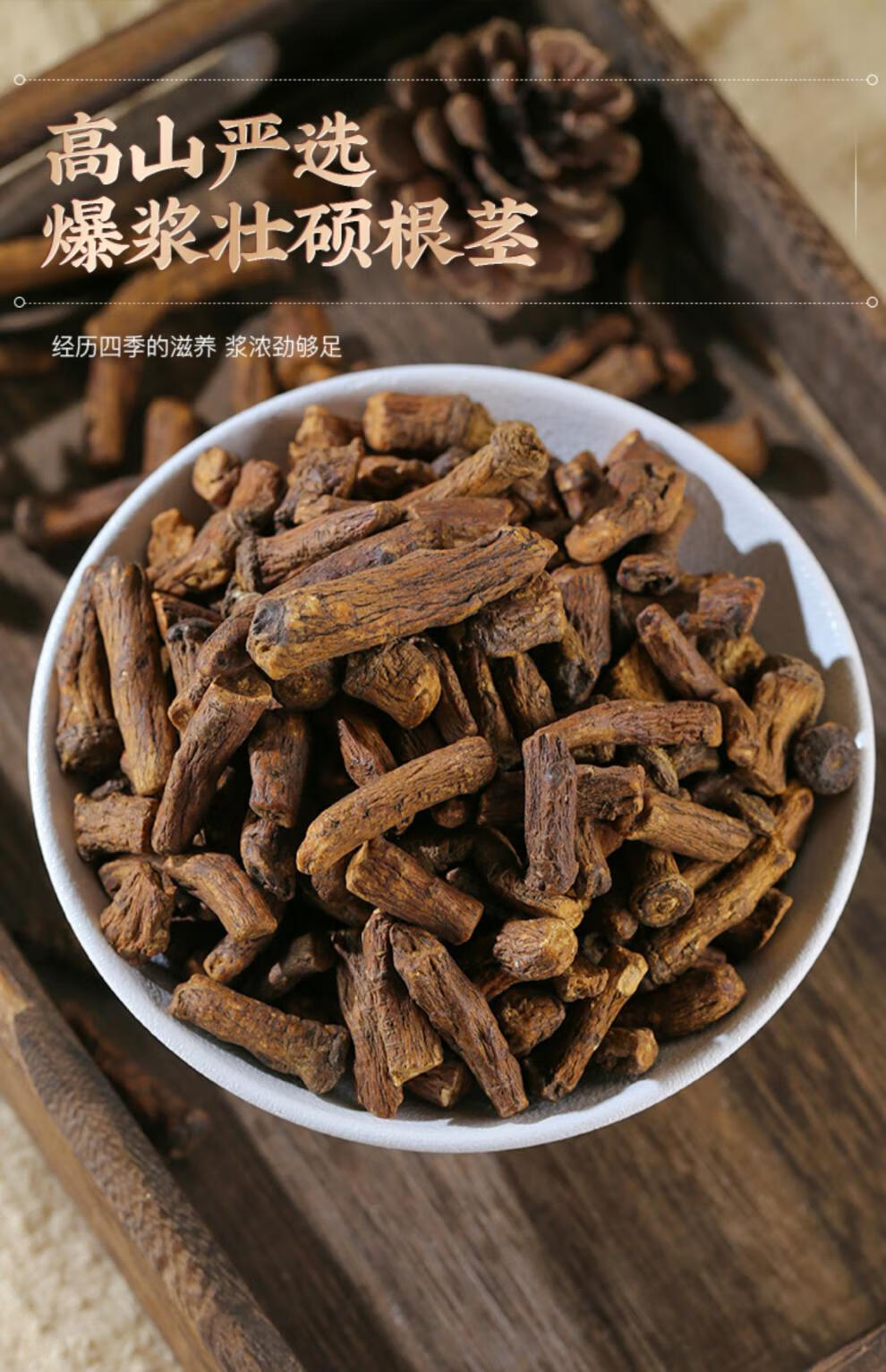 中药材蒲公英根野生500g炒蒲公英根干货炒熟粉蒲公英根茶500克