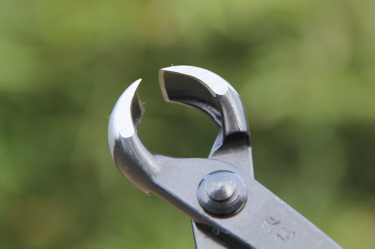 球节剪球形剪树瘤树节修剪钳盆景工具制作养护盆栽工具b12球节剪200mm