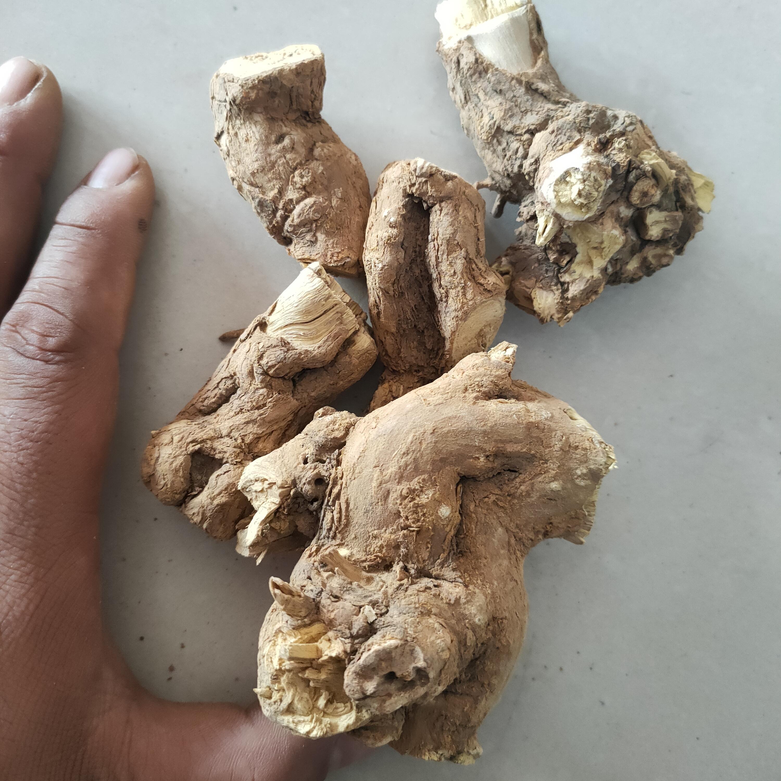 枸杞根 枸杞头 地骨根 新鲜晒干枸杞子树根 枸杞子树老根 50克干枸杞