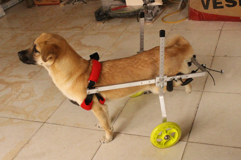 宠物残疾车老年狗残疾大小型狗轮椅猫狗后肢代步车轻便宠物后肢助力车