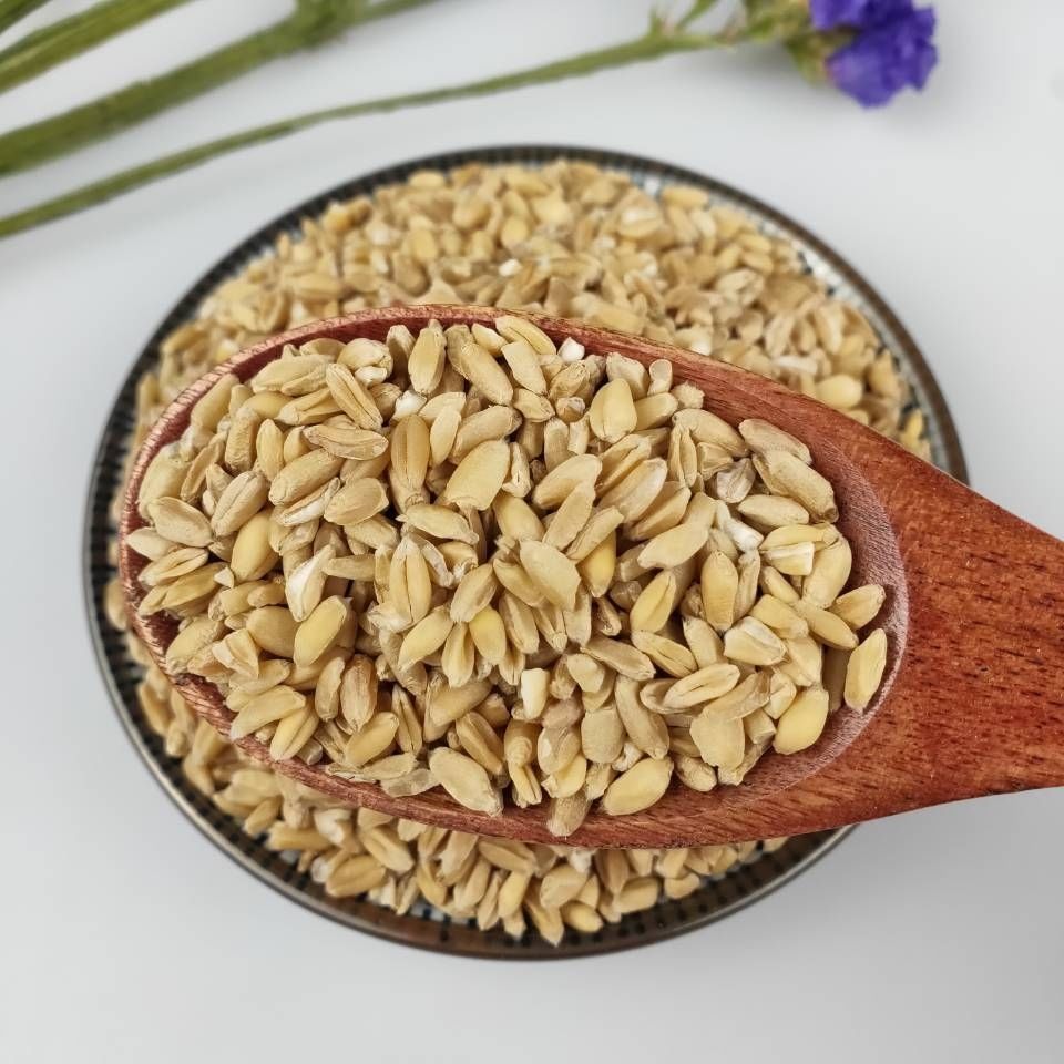 6015啡晨 浮小麦中药茶中药材瘪小麦止汗正宗干货