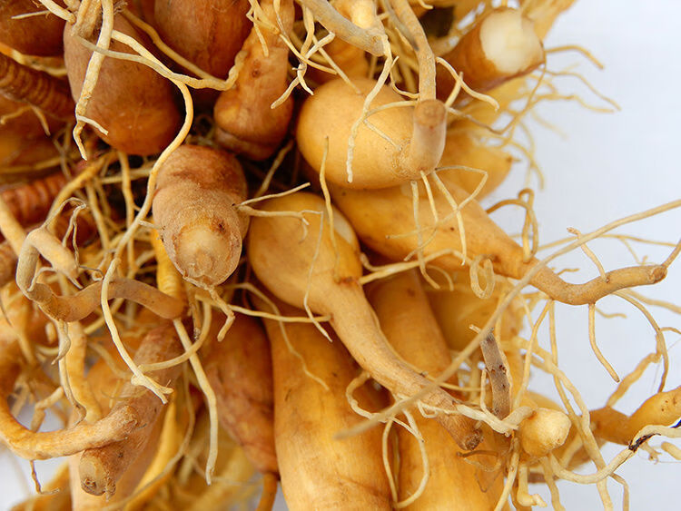 野生新鲜黄花菜根500g金针苗根萱草根忘忧草根黄花菜苗 500g【图片