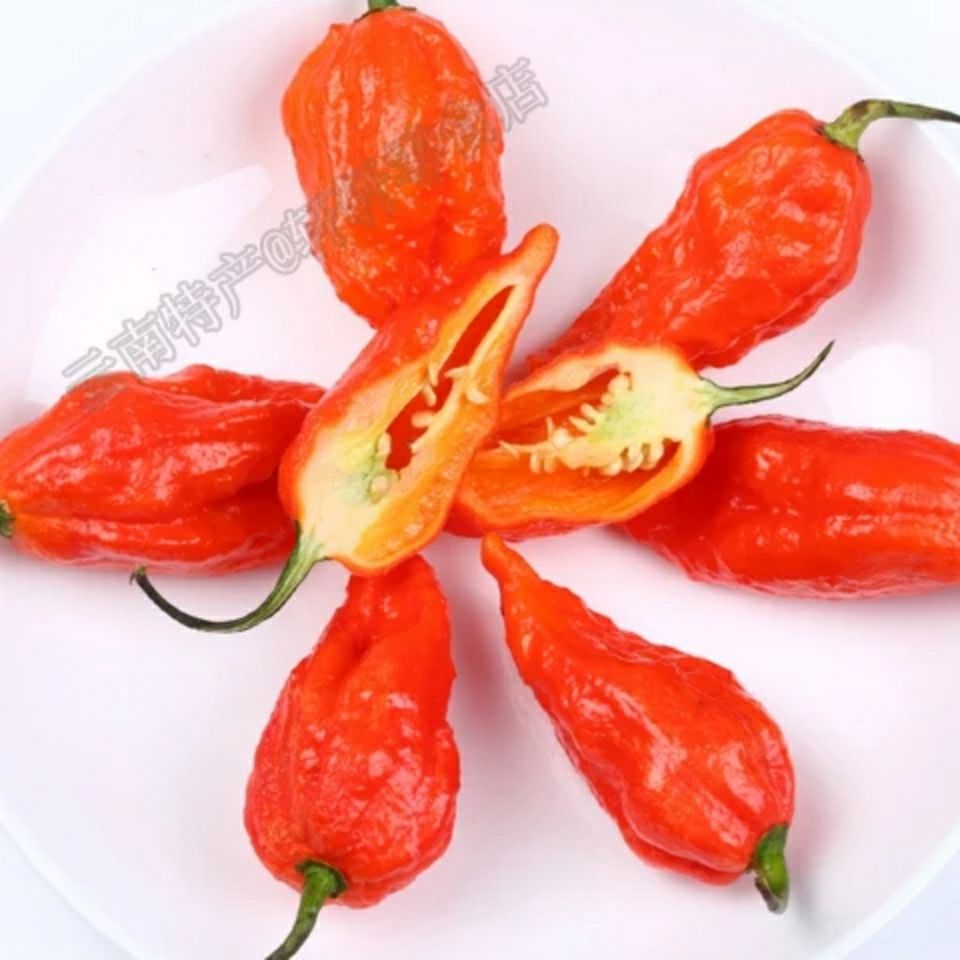 新鲜涮涮辣正宗印度魔鬼辣椒辣超变态特辣象鼻断魂新鲜 半斤250克