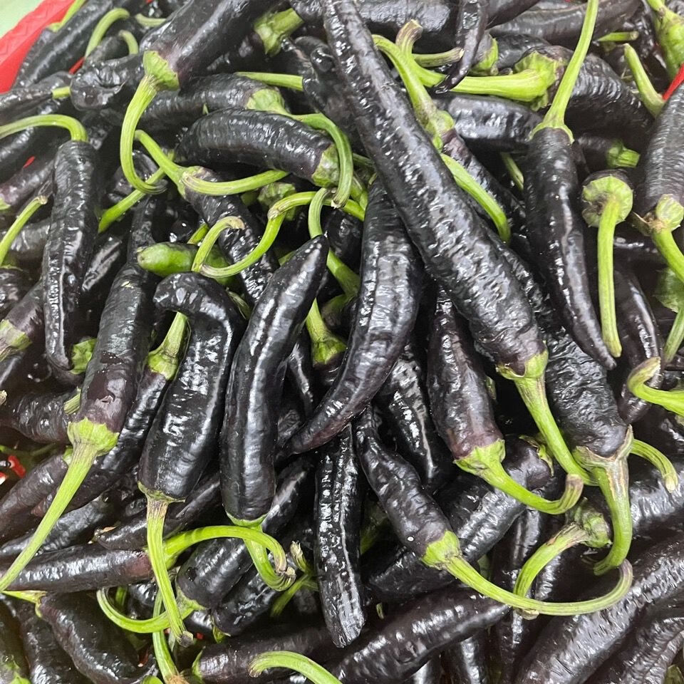 云南德宏农家自种新鲜黑辣子生辣椒很很爽口黑皮辣子不打农1斤