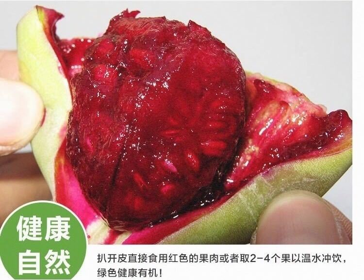 仙人掌果新鲜水果仙人果纯绿皮红心仙桃泡茶喝美容 仙人掌果红果4斤装