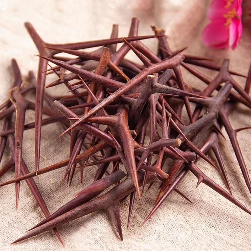 皂角刺新鲜秦岭油性皂荚刺纯刺棍刺皂针皂角针天丁批发 500g【图片