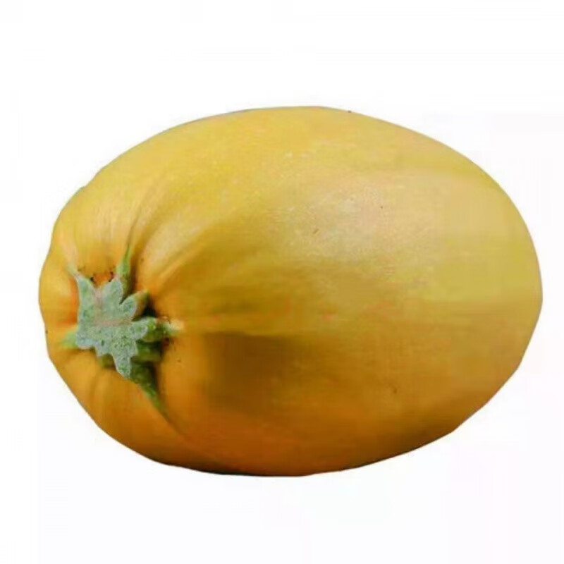 徐州新鲜金丝瓜黄金瓜茭瓜丝瓜时令瓜凉拌瓜丝 优选单果(4斤)【图片