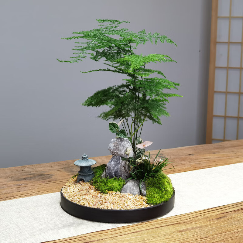 日式庭院苔藓微景观凤尾竹禅意意境石景石亭桌面办公桌面苔藓盆栽