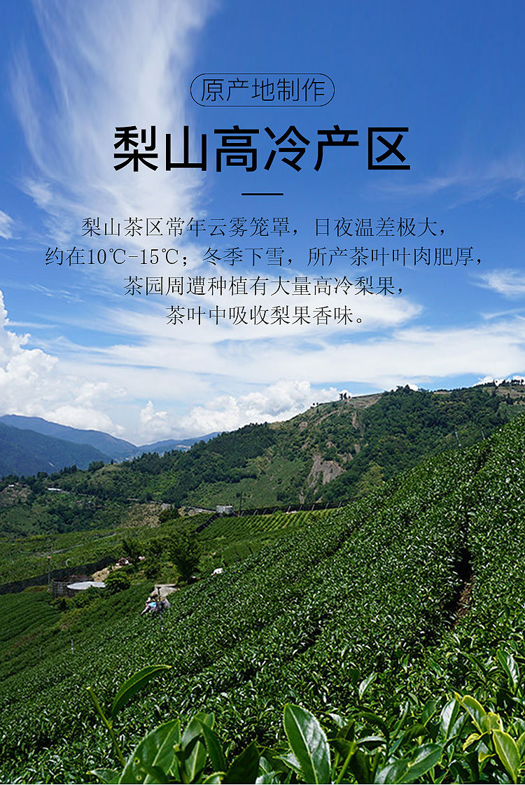 台湾梨山茶300g鲜爽顺滑清香型高山乌龙茶冷泡茶高冷茶礼盒装高海拔
