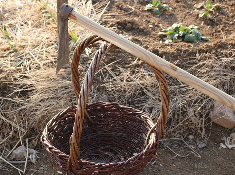 镐头镢头锄头汽车轴承钢烘炉锻打农具刨树根镢头园林园艺小号不带把