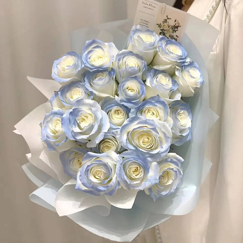 花西施鲜花速递碎冰蓝渐变玫瑰花束生日告白礼物送女生老婆女友闺蜜