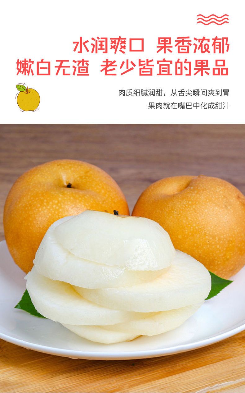 (顺丰)秋月梨正宗山东莱阳产地促销价直发 羊脂梨子 脆甜多汁新鲜水果