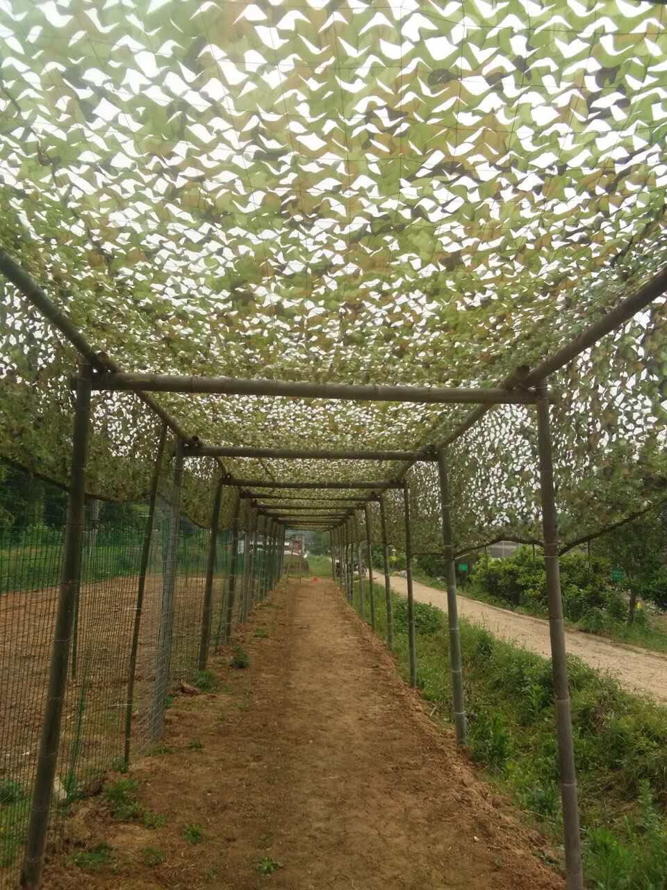 伪装网丛林迷彩网网网遮蔽绿化厂房建筑防航拍军汽车遮阳网 丛林迷彩