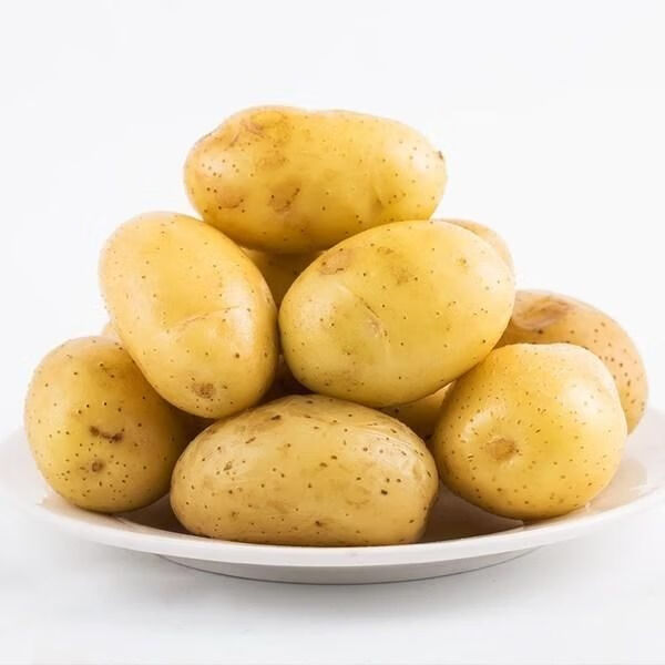 新鲜土豆--不鲜必赔 精品净重5斤【大果】又大又鲜【图片 价格 品牌
