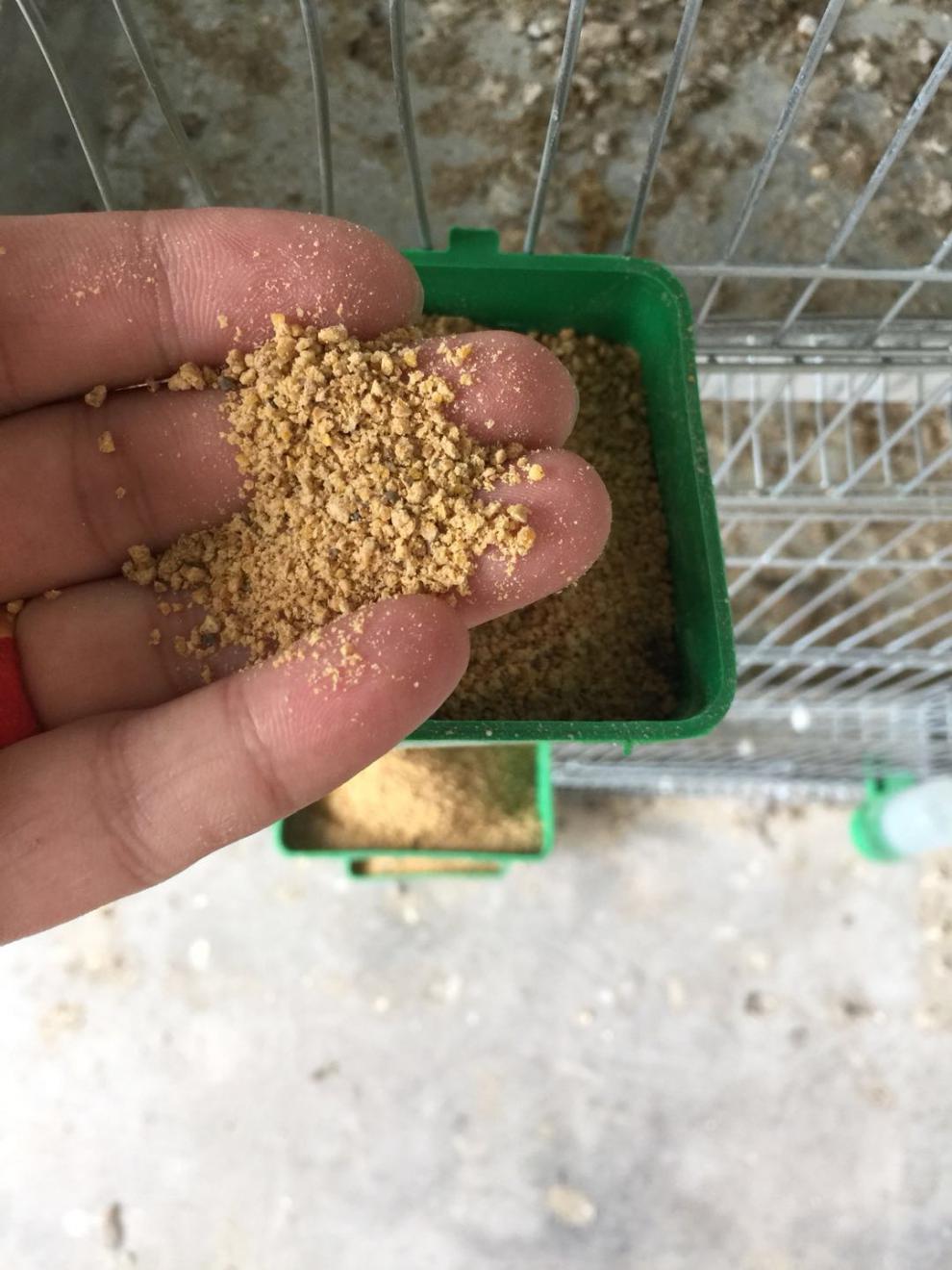 不二臣芦丁鸡鹌鹑饲料产蛋新希望六和饲料鸡鸭鹅饲料雀鸟食鱼育雏料5