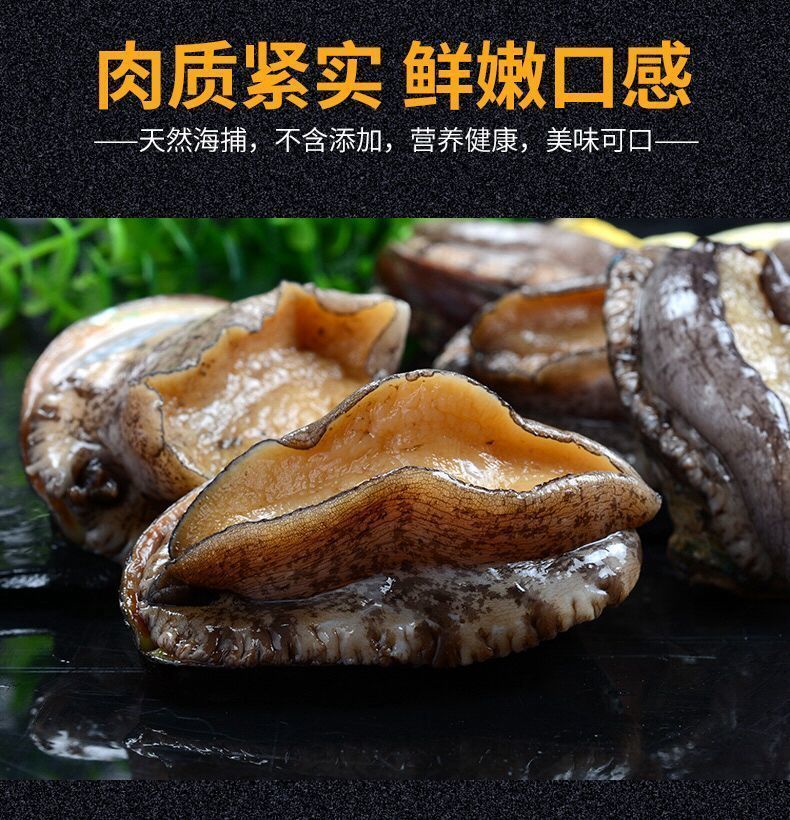 顺丰速运鲍鱼鲜活新鲜特大冷冻海鲜水产佛跳墙食材批发海鲜袋装海捕