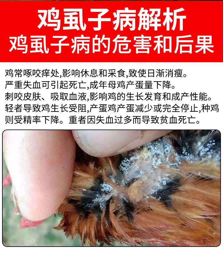 【现货速发】鸡虱子药鸡虱净鸭鹅体外驱虫跳蚤虱子螨虫第五代加强鸡