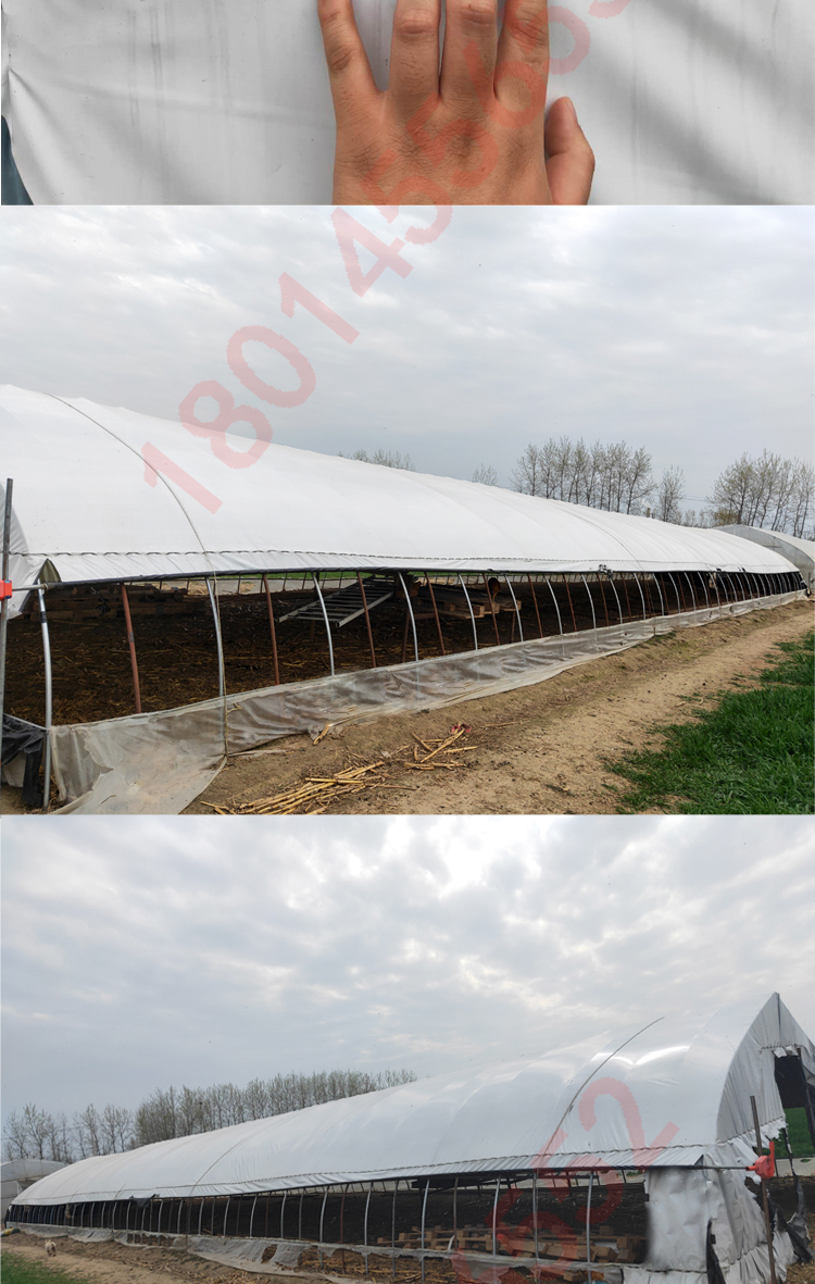 包天下 定制黑白膜防渗大棚膜降温反光加厚食用菌养殖养鸡隔热遮阴